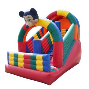 Durable Kids Outdoor Multiplay Station Bounce Slide Multicolor Play Area Manufacturers in Delhi