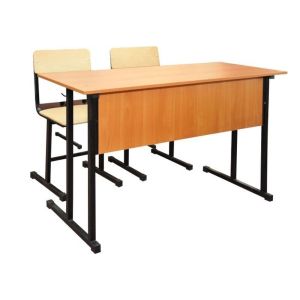 Educational Institute Desk and Chair Set for Two Students Manufacturers in Delhi