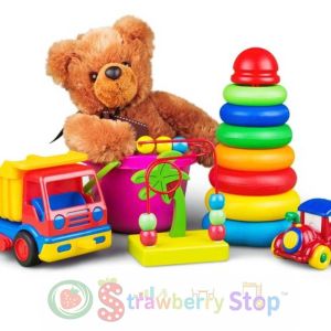 High Quality Multicolor Play School Toy for Kids Learning Manufacturers in Delhi