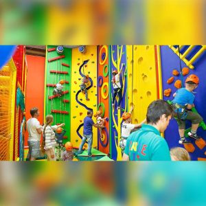 Kids Indoor Rock Climbing Wall with Safety Ropes and Harness Manufacturers in Delhi